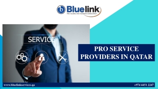 PRO SERVICE PROVIDERS IN QATAR