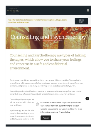 Counselling And Psychotherapy Courses in Essex