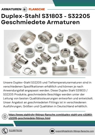 Duplex-Stahl S31803 - S32205 Geschmiedete Armaturen