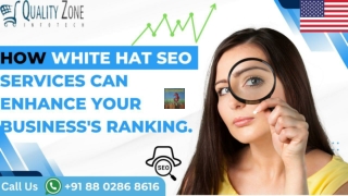 Expert SEO Service USA