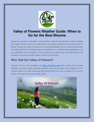 Valley of Flowers Weather Guide-  When to Go for the Best Blooms