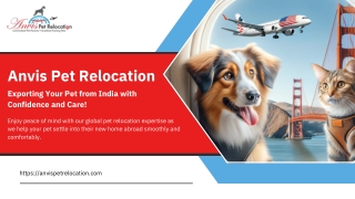 Hassle-Free Exporting Pets from India with Expert Assistance
