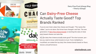 Can Dairy-Free Cheese Actually Taste Good? Top Brands Ranked