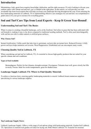 Sod and Turf Care Tips from Local Experts - Keep It Green Year-Round!