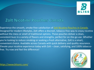 Zolt Nicotine Pouches Canada