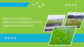 Eco-Friendly Watering Strategies for Large Gardens