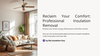 Reclaim Your Comfort: Professional Insulation Removal