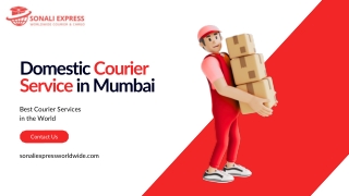 Domestic Courier Service in Mumbai - Sonali Express Worldwide Courier and Cargo