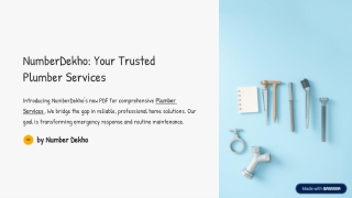 Need A Plumbing Emergency Find Trusted Help on NumberDekho