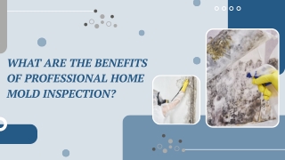 Expert Checks for Residential Fungal Damage