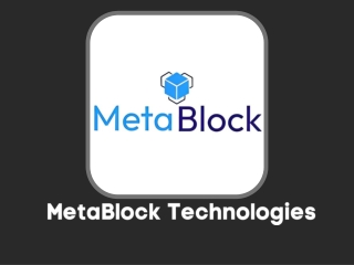 MetaBlock Technoogies (3)