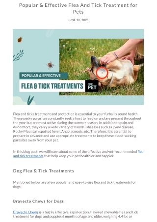 How to Protect Your Dog from Fleas – Top Flea Treatments Reviewed
