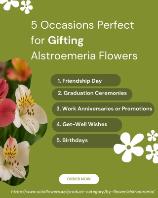 5 Perfect Occasions to Gift Alstroemeria Flowers