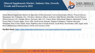 Mineral Supplements Market