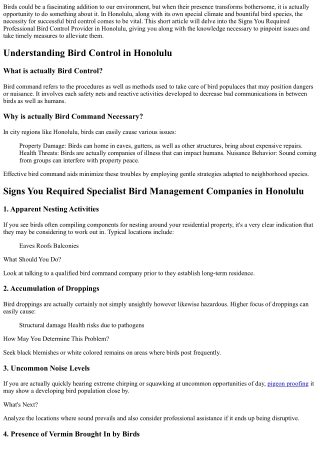 Signs You Need Professional Bird Control Services in Honolulu