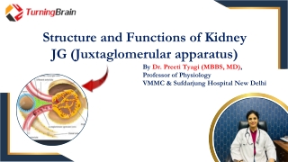 Structure and Functions of Kidney – Juxtaglomerular Apparatus (JG Apparatus)