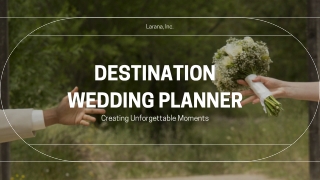 Destination Wedding Planner (1)