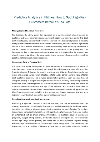 Predictive Analytics in Utilities How to Spot High-Risk Customers Before It's Too Late