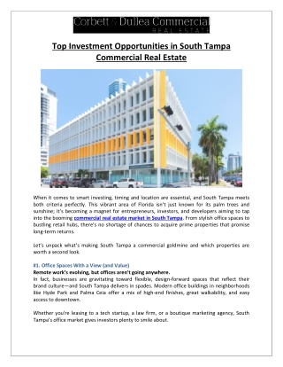 Corbett & Dullea Real Estate - Top Investment Opportunities in South Tampa CRE 2025