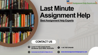 Last Minute Assignment Help