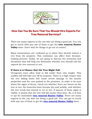 How Can You Be Sure That You Should Hire Experts For Tree Removal Services