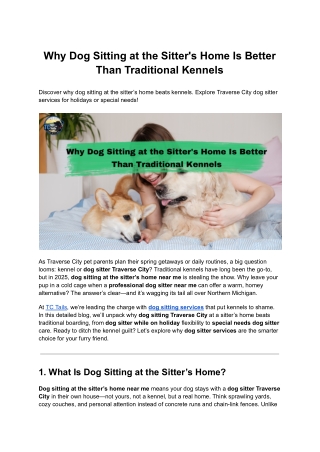 Why Dog Sitting at the Sitter's Home Is Better Than Traditional Kennels
