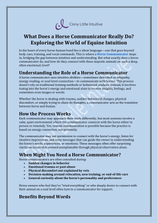 What Does a Horse Communicator Really Do? Exploring the World of Equine Intuitio