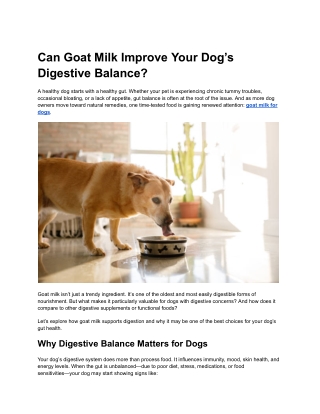 Can Goat Milk Improve Your Dog’s Digestive Balance?