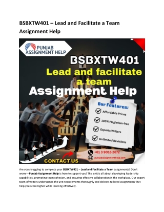 BSBXTW401 – Lead and Facilitate a Team Assignment Help