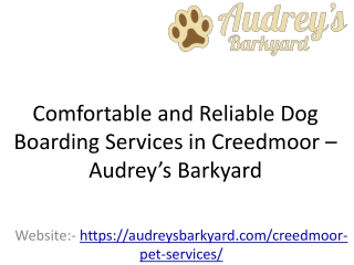 Comfortable and Reliable Dog Boarding Services in Creedmoor – Audrey’s Barkyard