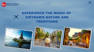 Experience the Magic of  Vietnam’s Nature and Traditions