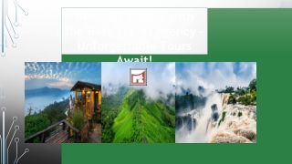 Discover Odisha with the Best Travel Agency – Unforgettable Tours Await!