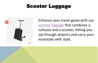 Scooter Luggage