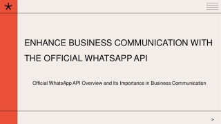 Enhance Business Communication with the Official WhatsApp API