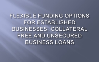 Flexible Funding Options for Established Businesses Collateral Free and Unsecured Business Loans