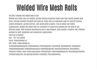 Welded Wire Mesh Rolls