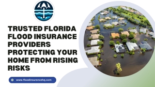 Trusted Florida Flood Insurance Providers Protecting Your Home from Rising Risks