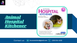 Veterinarians Kitchener Trusted Animal Hospital & Pet Services