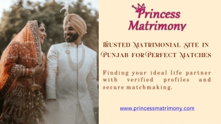 Trusted Matrimonial Site in Punjab for Perfect Matches