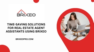 Time-Saving Solutions for Real Estate Agent Assistants Using Brixeo