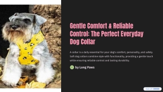 Gentle-Comfort-and-Reliable-Control-The-Perfect-Everyday-Dog-Collar