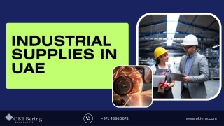 industrial supplies in UAE PDF