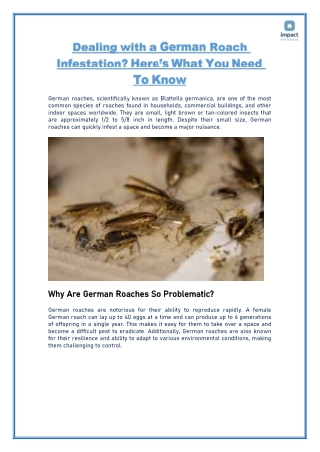 Dealing with a German Roach Infestation? Here’s What You Need to Know