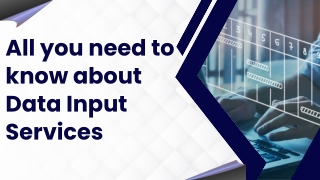 All You Need to Know About Data Input Services