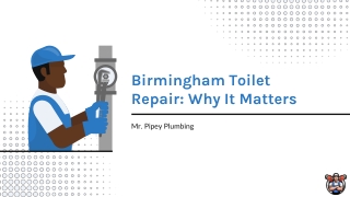 Birmingham Toilet Repair - Why It Matters