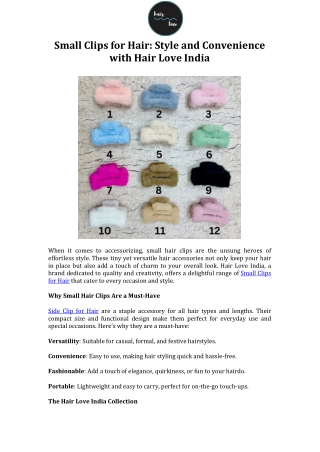 Small Clips for Hair Style and Convenience with Hair Love India