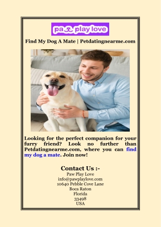 Find My Dog A Mate | Petdatingnearme.com