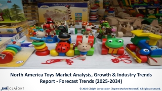 North America Toys Market Size, Share & Industry Insights by 2034
