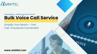 Best Bulk Voice Call Services for Instant Business Outreach