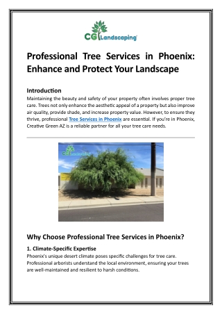 Professional Tree Services in Phoenix Enhance and Protect Your Landscape